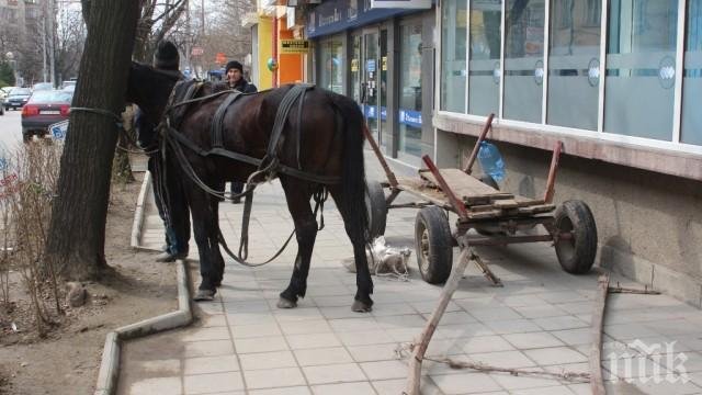 Подплашен кон с каруца сътвори екшън в Ракитово