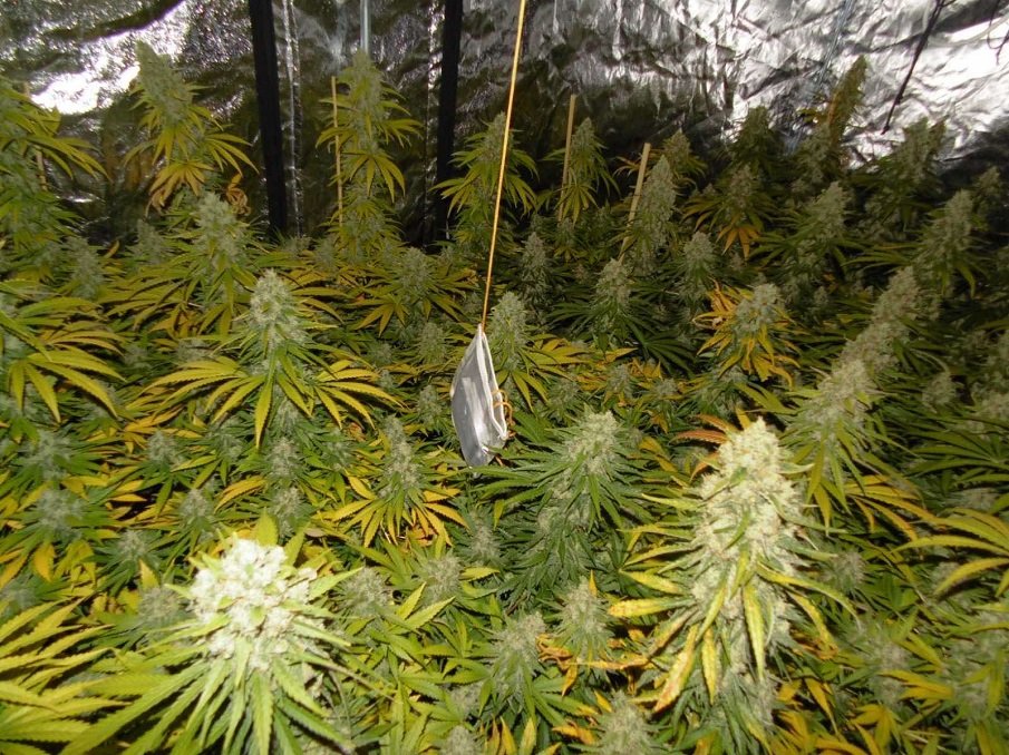 Задържаха двама за нарколабораториите в Пловдивско (СНИМКИ)