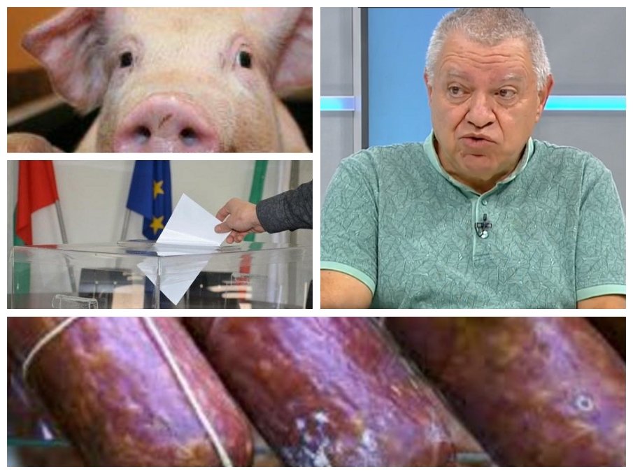 Проф. Константинов изби рибата: Разпределението на мандатите е като фабрика за колбаси - вкарвате прасета, изкарвате колбаси