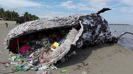 Морето изхвърли два мъртви кита, подозират натравяне с пластмаса