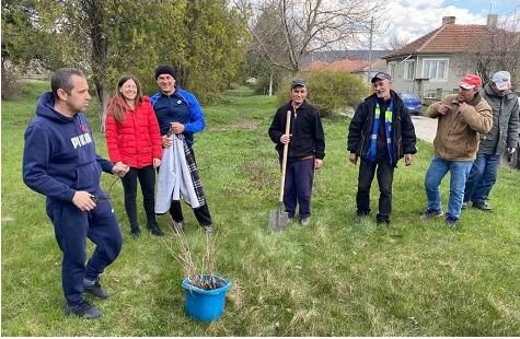 Засаждат 400 дръвчета в община Суворово