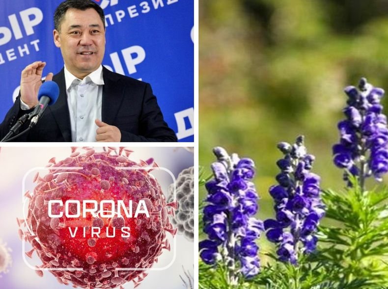 АВАНГАРДНО! Лекуват коронавируса с...