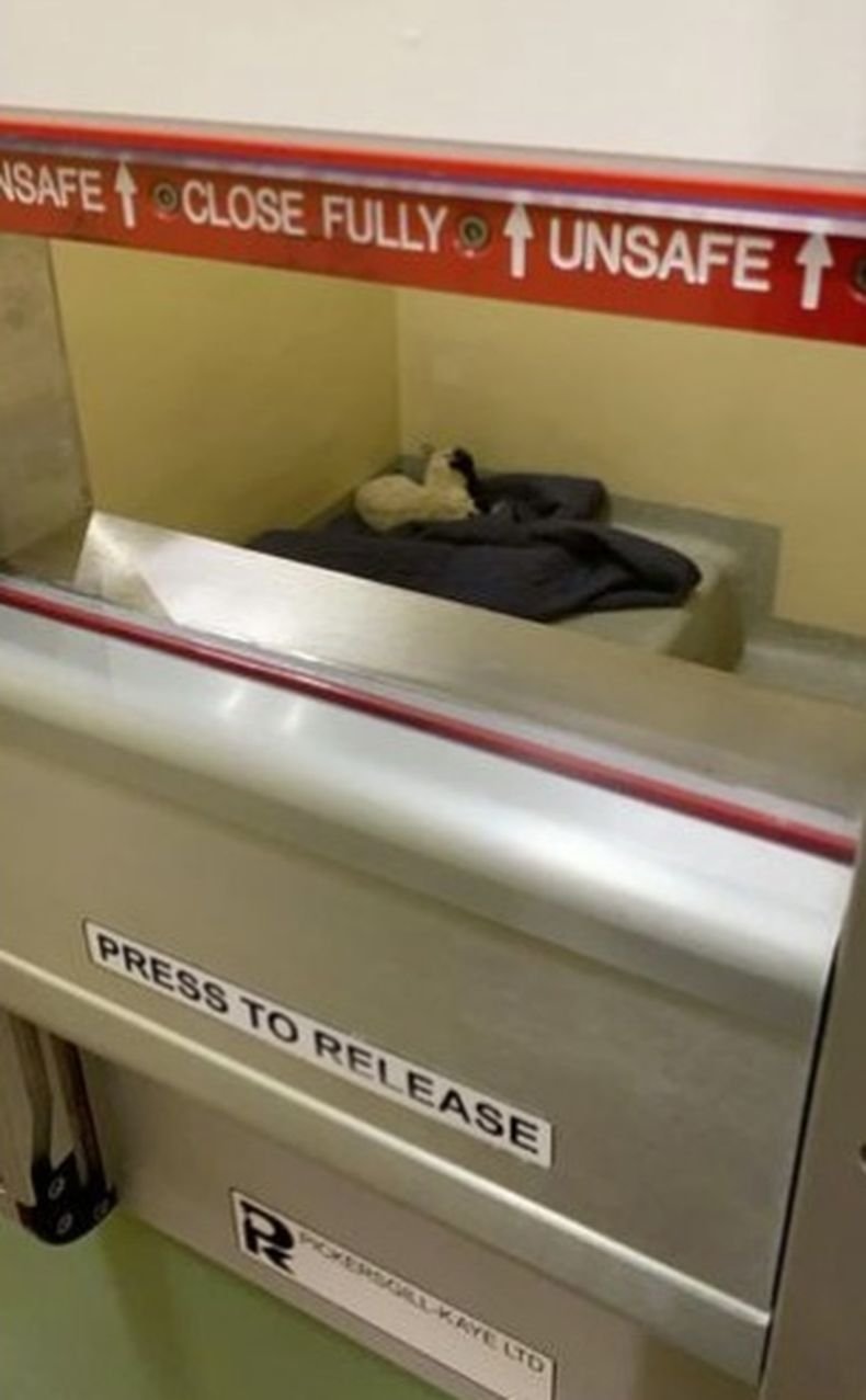 Изгубило се агне прекара една нощ в ...