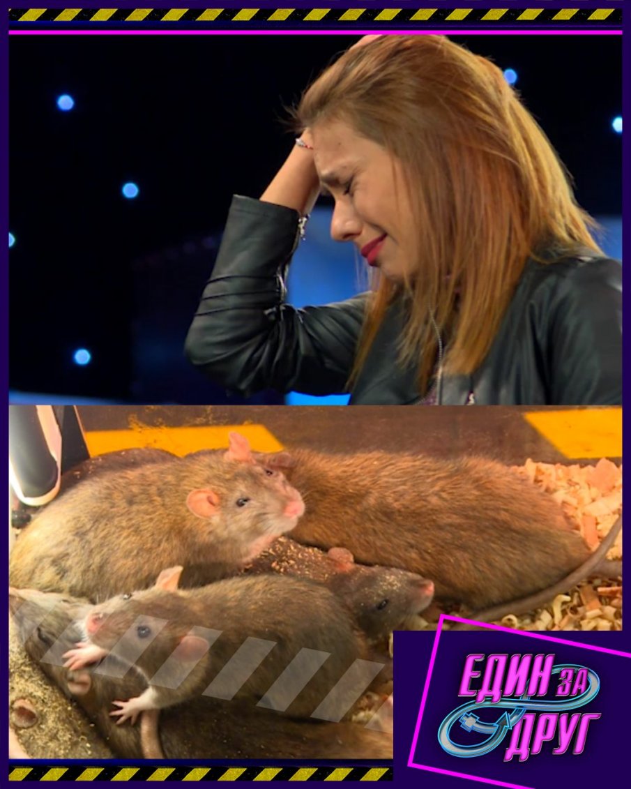 Зрители на бунт срещу Един за друг заради жестокост към животни (СНИМКА)