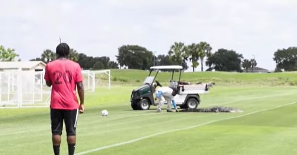 Крокодил изненада футболисти по време на тренировка (ВИДЕО)