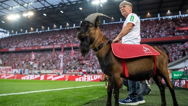 Агитката на Кьолн потъна в траур - спомина се козелът-талисман на отбора