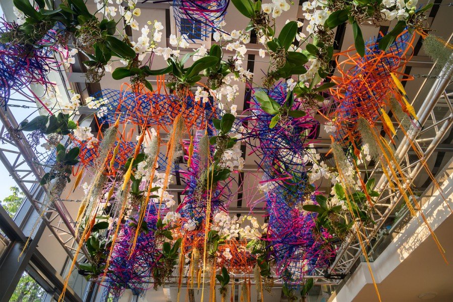 Цветно изложение стартира в Бургас - сред акцентите е мистичната тубероза