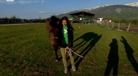 Кон, помагащ на деца със специфични нужди, изчезна мистериозно от стопанство край София