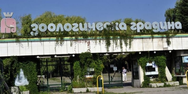 Столичният зоопарк отбелязва 133 години от създаването си
