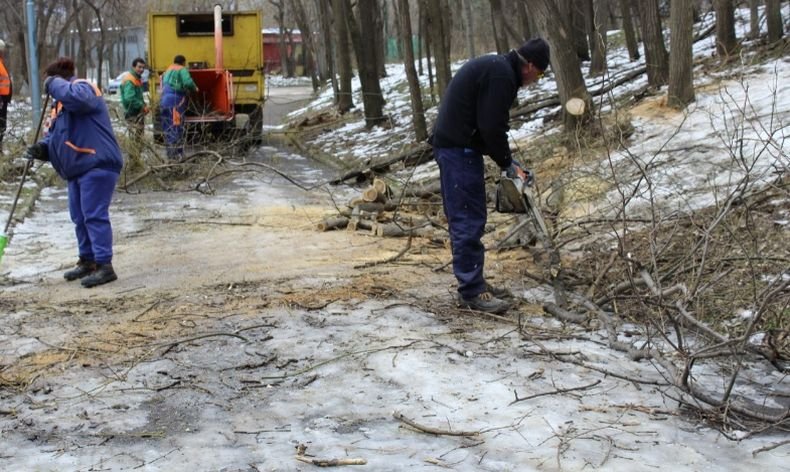 Извозиха пет камиона с отпадъци при акция за почистване на Дановия хълм в Пловдив