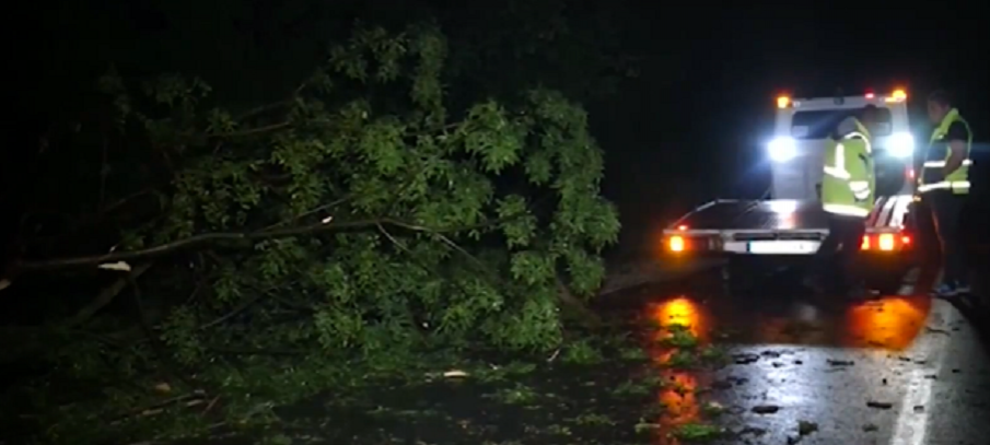 Среднощна буря с градушка удари Русе - паднали дървета предизвикаха катастрофи (СНИМКИ)
