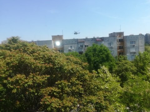 САМО В ПИК: Бойни Кугари от Крумово летят на метри от блоковете в пловдивския жк Тракия, пощуриха хората (СНИМКИ)