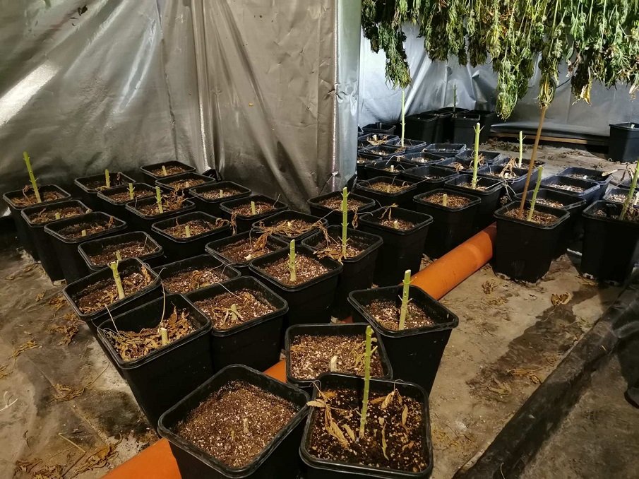 СПЕЦАКЦИЯ: Криминалисти удариха нарколаборатория в Бургас (СНИМКИ)