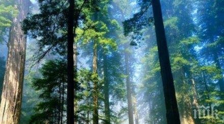 86-годишен мъж преживя две нощи в горите край Ардино