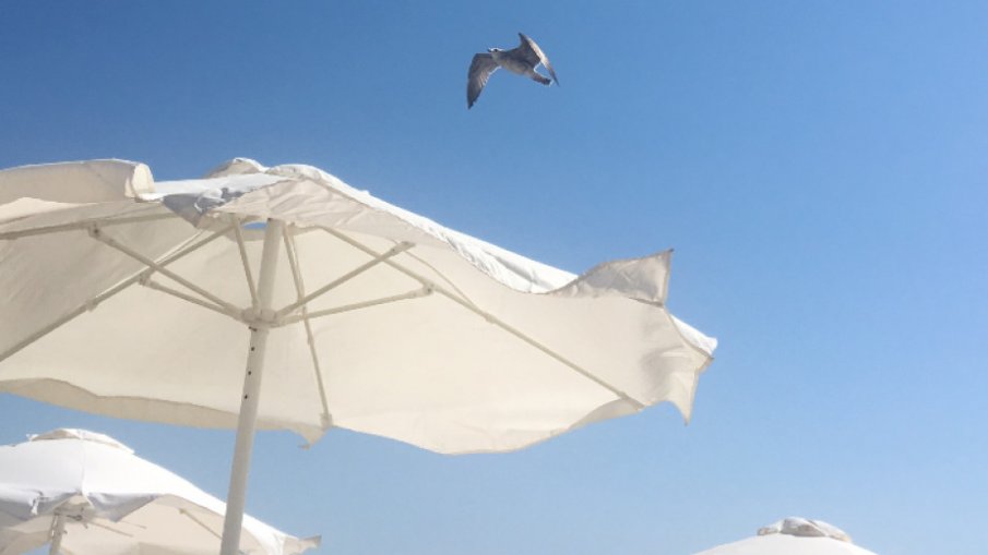 Туристическите обекти с ваксиниран персонал със специални стикери