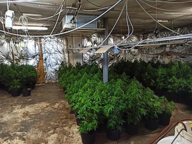 ГДБОП разкри три оранжерии за канабис в района на „Враждебна“