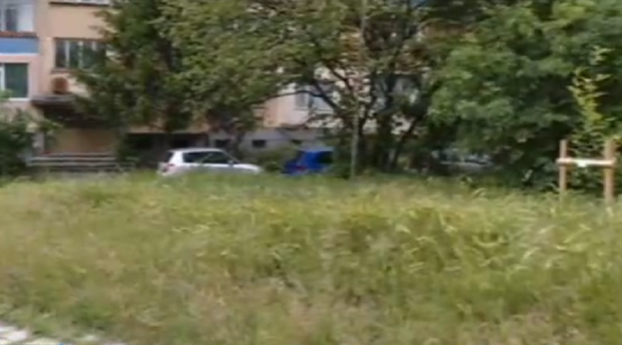 Косенето на тревните площи във Варна се бави и тази година