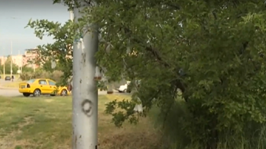 Недоволни шофьори превърнаха градинка в София в тоалетна