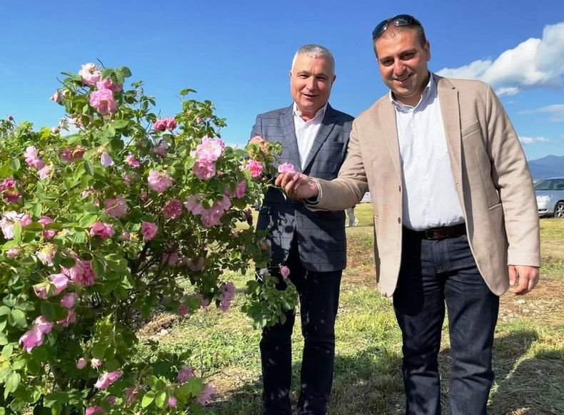 Заместник-министър Крум Неделков: Работим по варианти за подкрепа на розопроизводителите (СНИМКА)