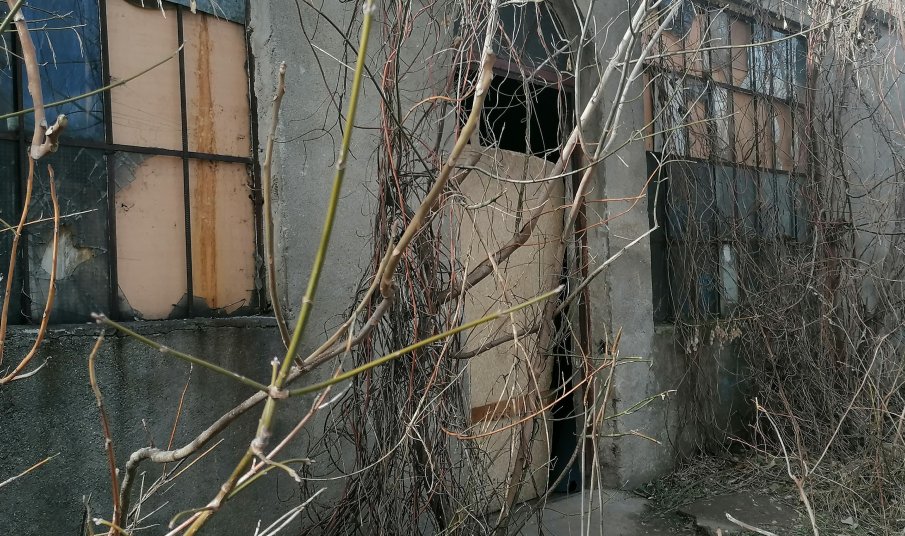 18 години затвор за мъж, заклал приятеля си по чашка