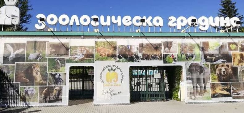 София, Бургас, Варна и Пловдив с общи зелени решения