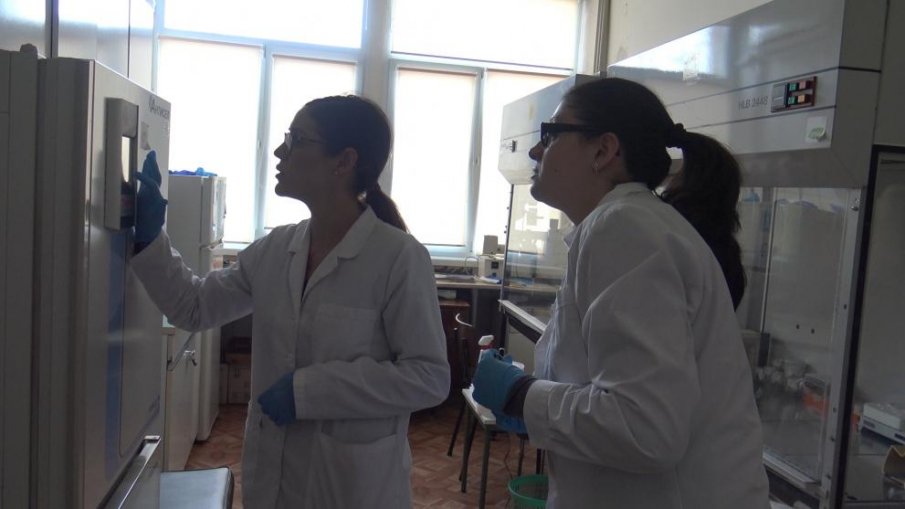 Учени от БАН тестват иновативна терапия за лечение на рак