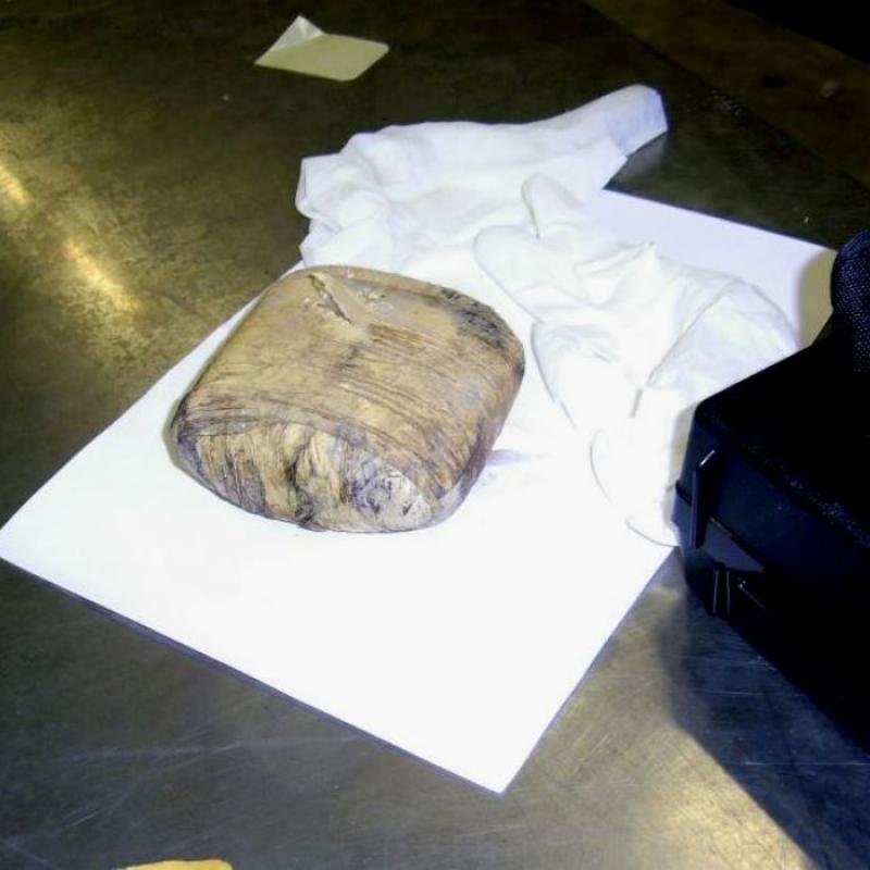 604 килограма наркотици са унищожени чрез изгаряне