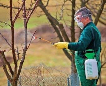 Земеделците получиха над 3,5 млн. лева за зимни пръскания