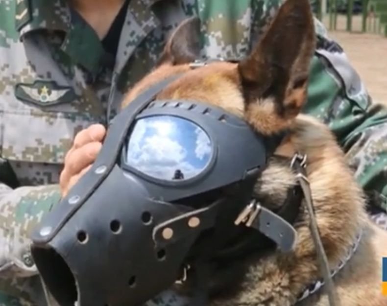 Военно куче за първи път скочи с парашут