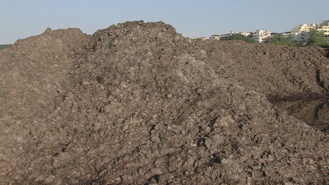 Екоинспекцията в Бургас не откри нарушения при оставените в Сарафово мъртви водорасли