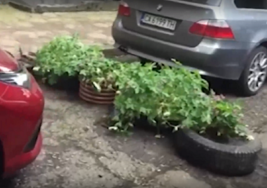 Граждани барикадираха алея в Стрелбище с кашпи заради профучаващи коли, от Столична община им ги взеха