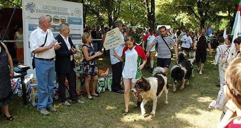 Киноложка изложба в Монтана събра кучета от цялата страна