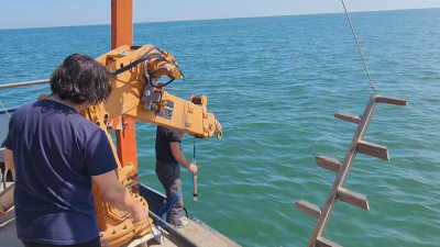 Намериха още останки от сриналия се МиГ-29, все още има надежда за черната кутия