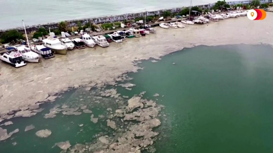 КОШМАР: Морска слуз се завъди край гръцки остров