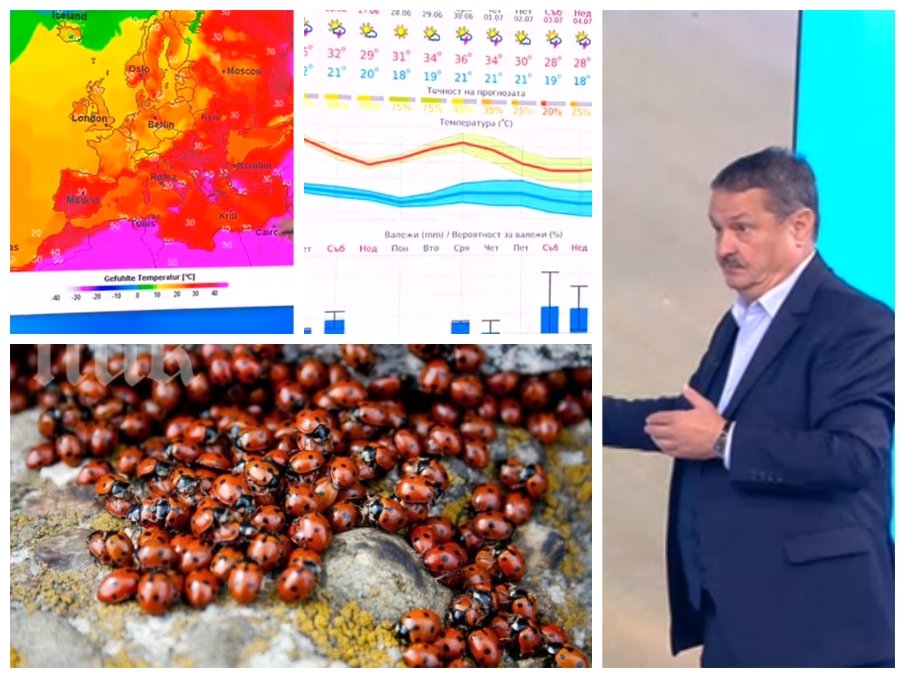 Проф. Георги Рачев с горещ коментар за торнадото в Чехия. Топ синоптикът разясни от кои калинки да се пазим, защото са канибали