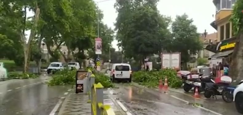 Паднали стълбове и дървета след силна буря в Одрин (ВИДЕО)