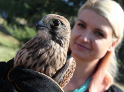 РИОСВ в Пловдив спаси 7 бедстващи птици