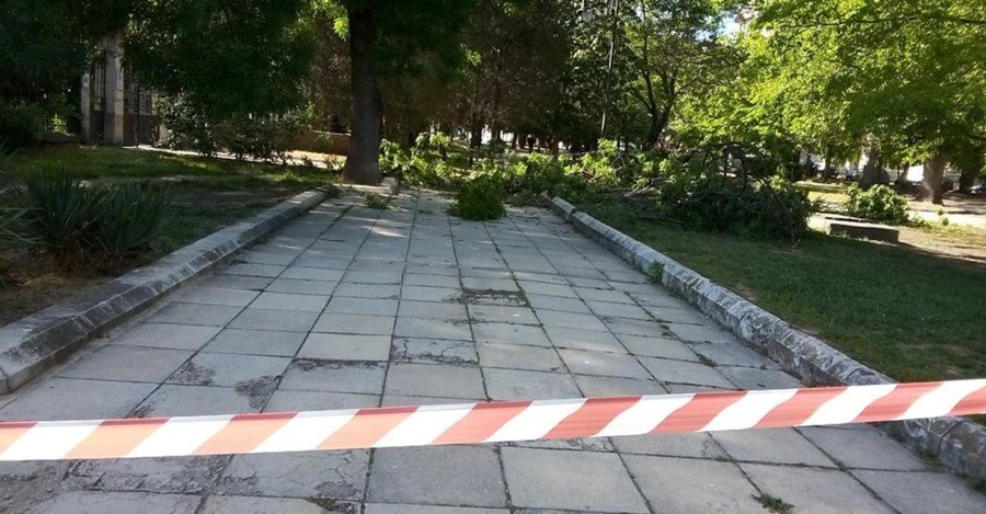 Клон се стовари върху учителка и деца по време на тържество