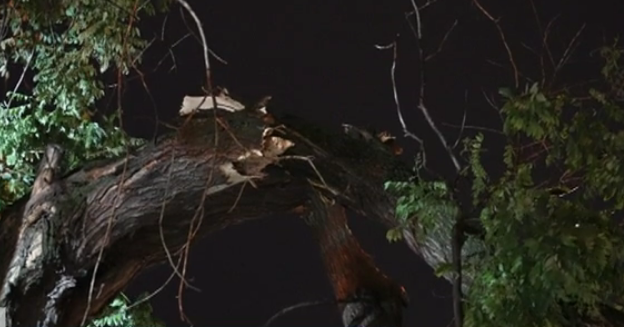 И Източна България с щети от бурята