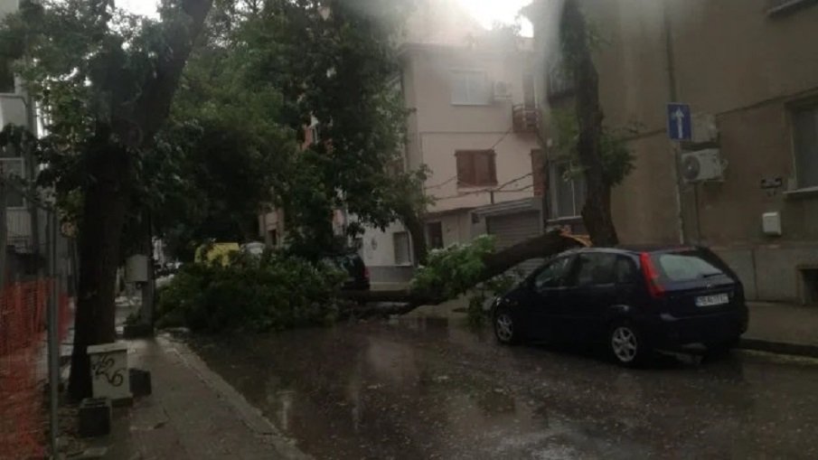 Буря удари Пловдив, скъса жица (СНИМКИ)