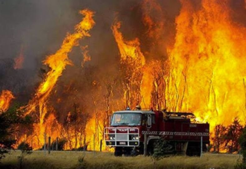 Най-малко четирима загинали при пожарите в Кипър