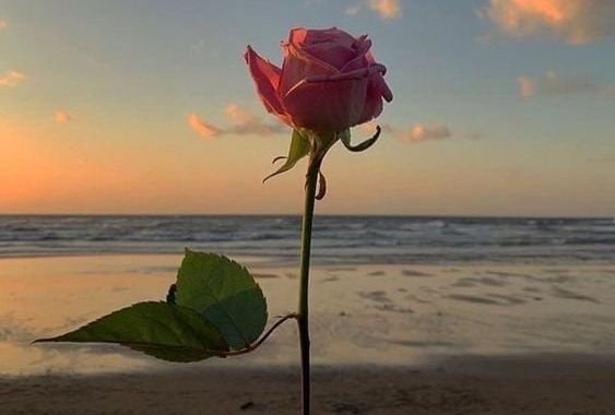 ЗВЕЗДИТЕ ГОВОРЯТ: Днес ще получите важна информация, избягвайте конфликти и бурни емоции