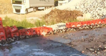 Камион разпиля каси с бира край Тетевен