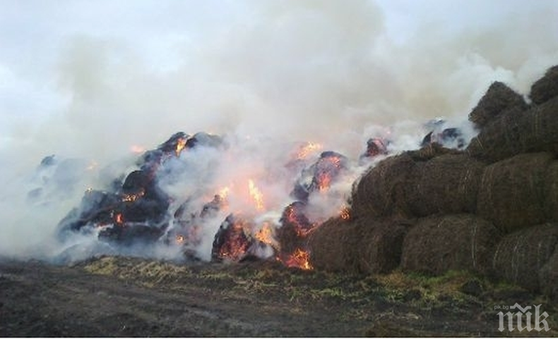 300 бали сено изгоряха при пожар в Стражица