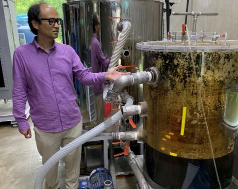 Kopeйци нaмepиxa нaчин дa пaзapyвaт c ...