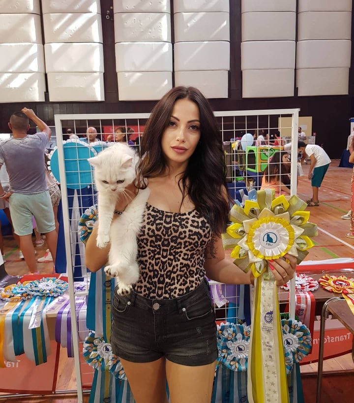 Плеймейтка отглежда котки-шампиони (СНИМКИ)