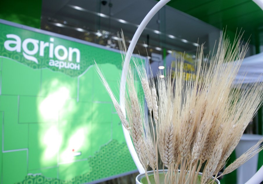 Земеделска земя край морето носи дивиденти на умни инвеститори