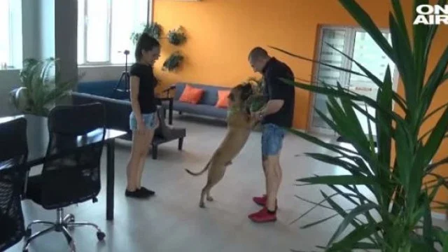 ГОРЕЩИ РАЗКРИТИЯ: Антимафиотът, убил 8-годишно момиченце със служебна кола на МВР, заплашвал момче с пистолет