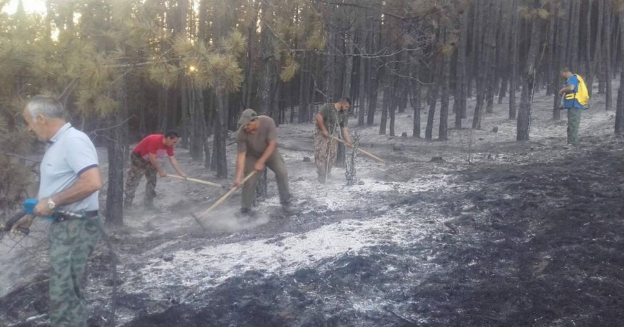 По-малко горски пожари в Североизтока, призив за внимание в жегите