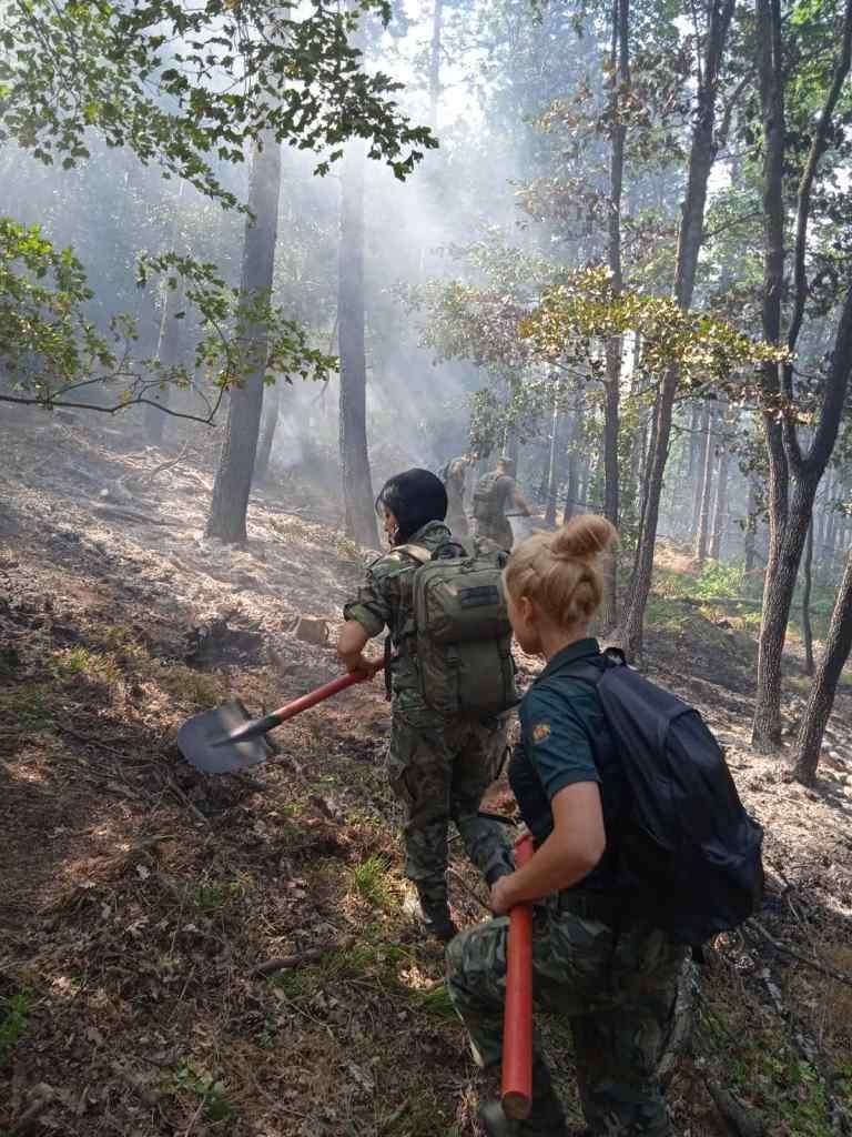 Военнослужещи и хеликоптер оказаха помощ за локализирането на пожара край Твърдица